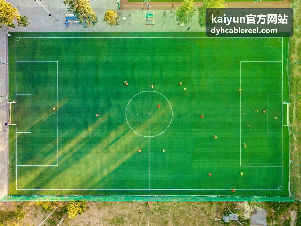 kaiyun官方网站 直播与比分数据界面示意